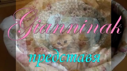 Чело Коте Книжки