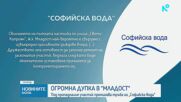 Пропадна част от пътното платно на голям булевард в София