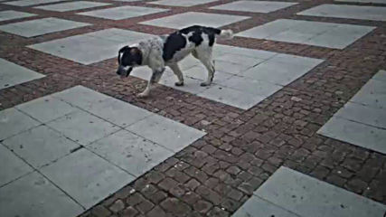 Vid_20190525_130708