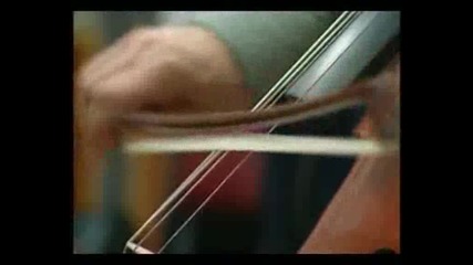 Paul Mccartney - Beautiful Night