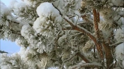 Падает Снег Оркестр Поля Мориа