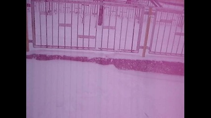Troshevo Sedalki