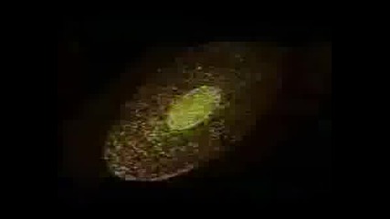 Hands Of Blood Dbz