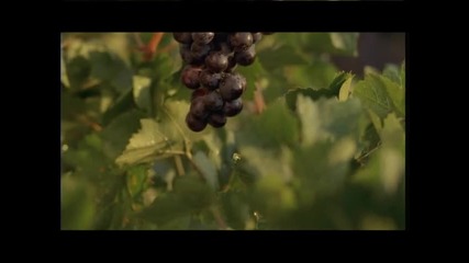 Карнобатска Гроздова - кога се бере гроздето