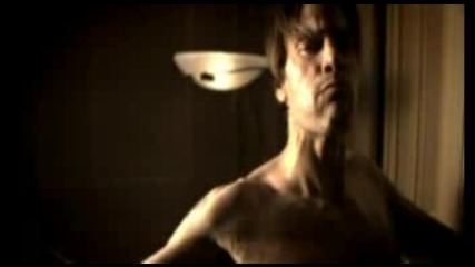 Within Temptation - What Have You Done