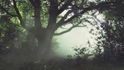 Adam Nickey - Perfect Destiny