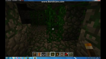 Minecraft_маите