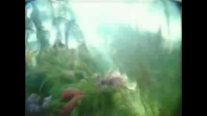 Crazy Town - Butterfly 