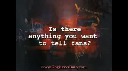 Vannesa Hudgens Interview on Dognewsdaily.com
