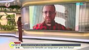 Времето през новата година: Ветрове, затопляне и сняг