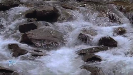 Chris Spheeris - Pura vida
