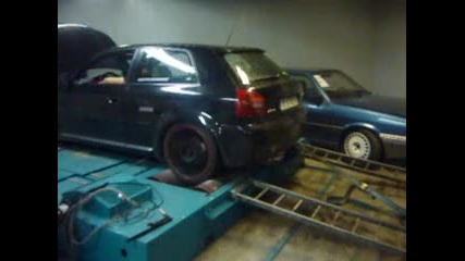 monster performanse