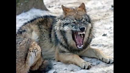 Sleipnir - Feindbild