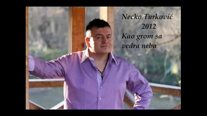 Necko Turkovic 2012 - Kao grom sa vedra neba