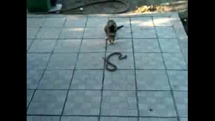 Vid 00066 - 20100718 - 0754