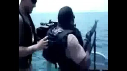 Морски Тюлен Как Стреля(смях)