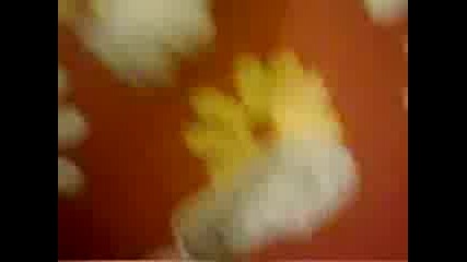 Видео0116