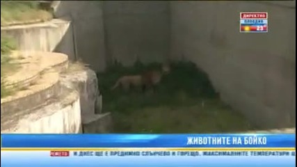Подариха на премиера клетка