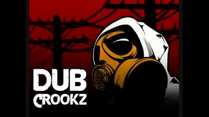Dub Crookz - Partys Over 