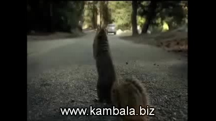 Смешна Реклама
