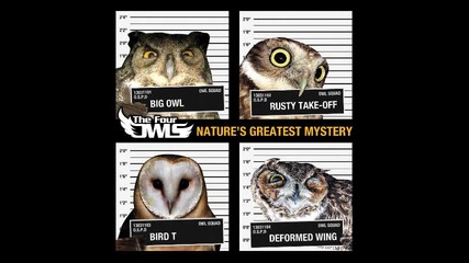 The Four Owls - Champions Feat. Q-unique