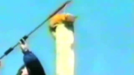 Supercats Episode 1 — the Funniest Cat Video!