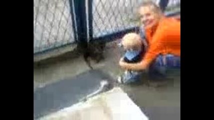 Video - 00 
