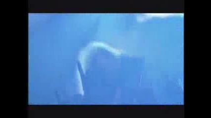 Children of Bodom - Living Dead Beat Live - 2006