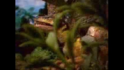 Dinosaur - Safari Velociraptor