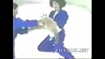 Zerogravitycat
