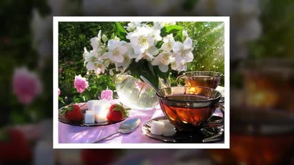Chris Wonderful - Good Morning