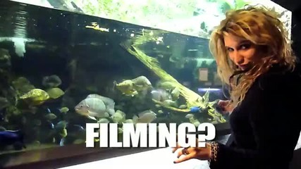 izcrazylata ke$ha! :d yo0
