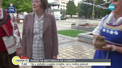 Фестивал на сливата: В Троян започва варенето на сливова ракия