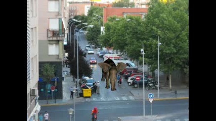 Слон се разхожда по улиците в големия град