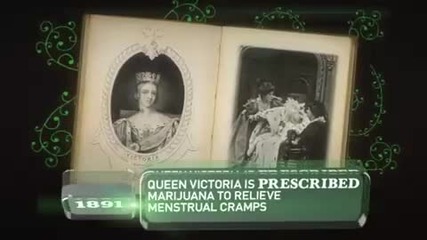 Историята за появата на Марихуаната 