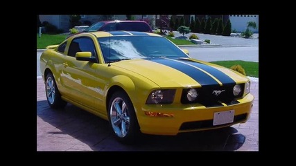 Black & Yellow