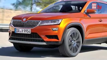 Skoda подготвя спортен кросоувър в стил Bmw X4
