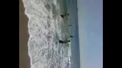 sp0rn0 na plaj .. 22 mart ;]