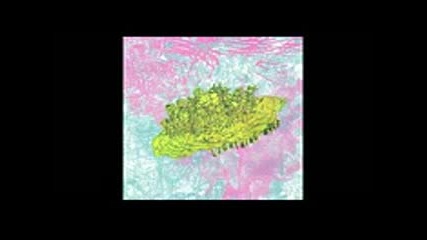 Lightning Bolt - Ride the Skies [full Album 2001]