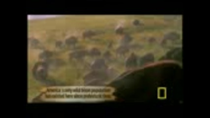 Yellowstone!!!уникалнооо!!!! 