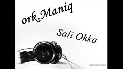 .. Sali Okka & ork. Maniq & Mokan - Live 2011 ..