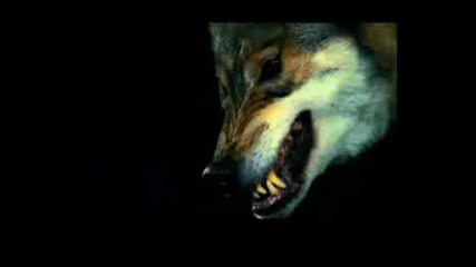 Ruslana Dance With The Wolves Video Lyrics