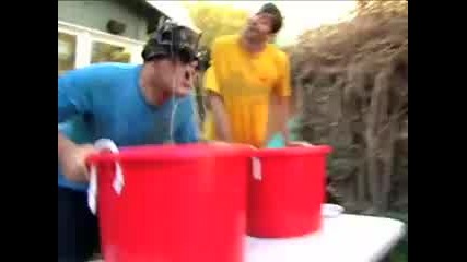 Номера Си Го Бива 