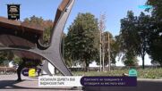 Само месеци след засаждането: Част от новите дръвчета в крайдунавския парк във Видин не оцеляха