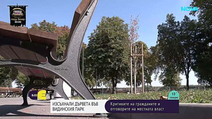 Само месеци след засаждането: Част от новите дръвчета в крайдунавския парк във Видин не оцеляха