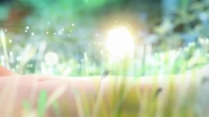 The Light Of Life