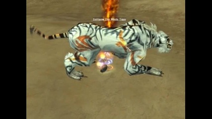 Sohaow The White Tiger 