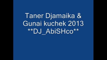 Taner Djamaika & Gunai kuchek 2013 Dj Abishco