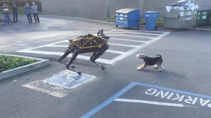 Робот куче срещу живо куче