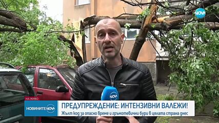 Паднали дървета, наводнени мазета и прекъснато електричество при силна буря в Хасково